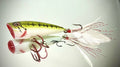 The Classic Popper