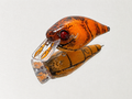 Craw with Claws