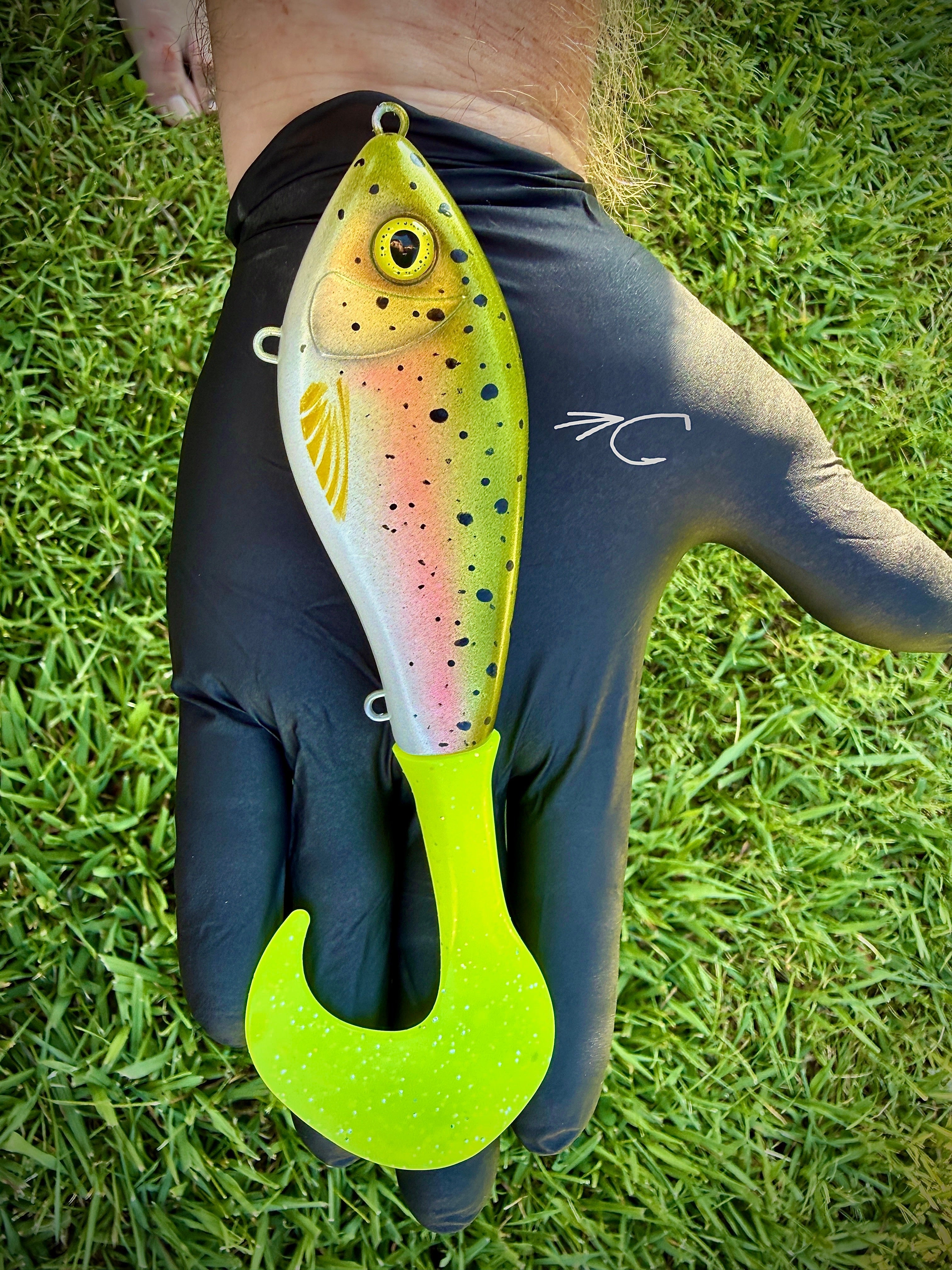 Rainbow Trout