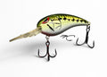 Baby Bass