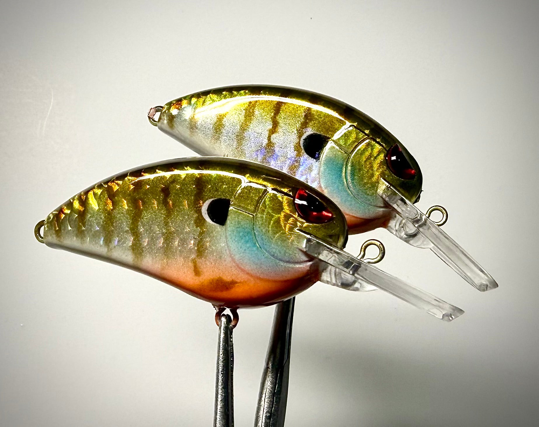 Gilly - Holographic Bluegill